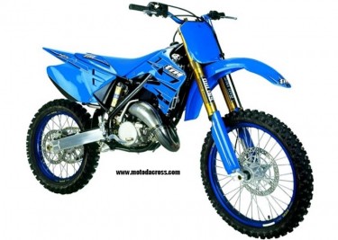 TM MX 125
