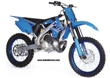 TM MX 250
