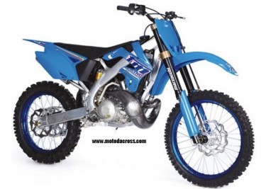 TM MX 300