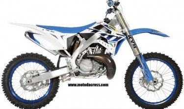 TM MX 300