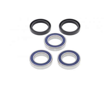 Kit cuscinetti ruota posteriore SUZUKI RMZ 250 2004-2006