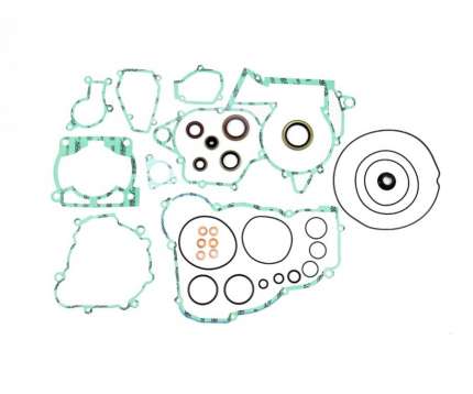 Serie guarnizioni motore con paraoli BETA RR 250 / 300 2013-2025 BETA XTRAINER 250 2017-2025 BETA XTRAINER 300 2015-2025