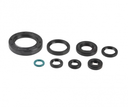 Serie paraolio motore HONDA CR 250 1992-2007