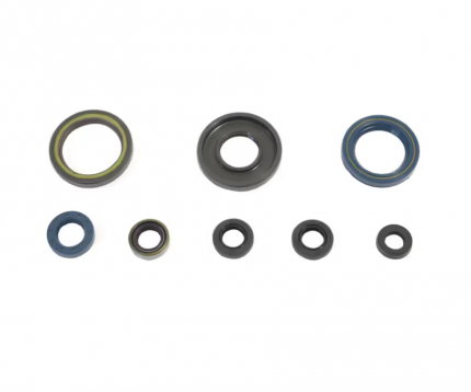 Serie paraolio motore KTM MX 250 1984-1986