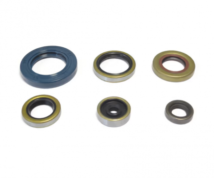 Serie paraolio motore KTM SX 65 2009-2022