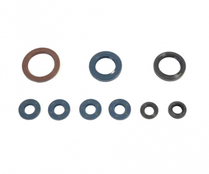 Serie paraolio motore KTM SXF 250 2013-2015