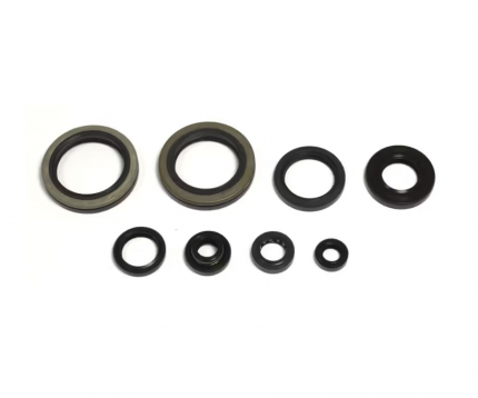 Serie paraolio motore SUZUKI RM 250 1993-1995