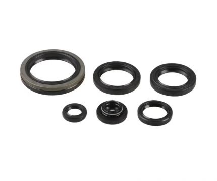 Serie paraolio motore SUZUKI RM 250 1996-2002 