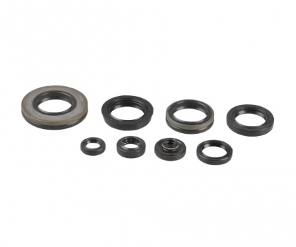 Serie paraolio motore SUZUKI RM 250 2003-2008