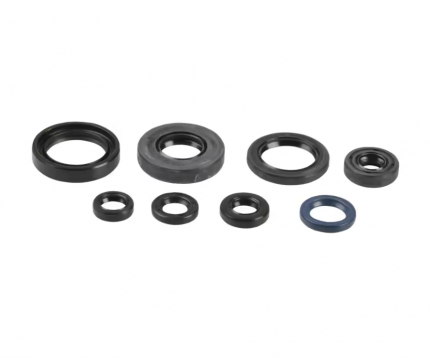 Serie paraolio motore YAMAHA YZ 85 2002-2018