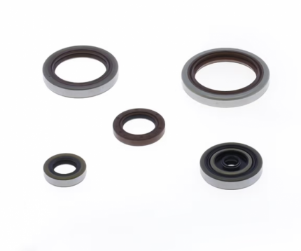 Serie paraolio motore BETA RR 250 / 300 2013-2024 BETA XTRAINER 250 2017-2024 BETA XTRAINER 300 2015-2024